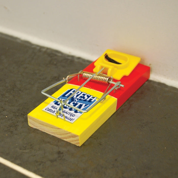 Big Cheese Pre Baited Mouse Trap