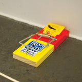 Big Cheese Pre Baited Mouse Trap