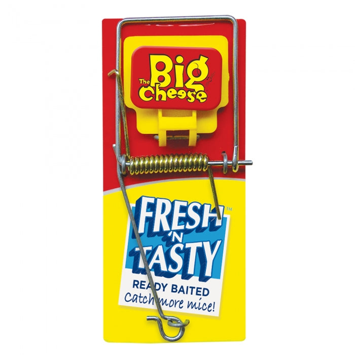 Big Cheese Pre Baited Mouse Trap