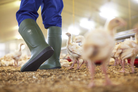 Bekina Wellies